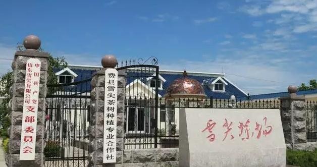 黨支部會(huì)場(chǎng)