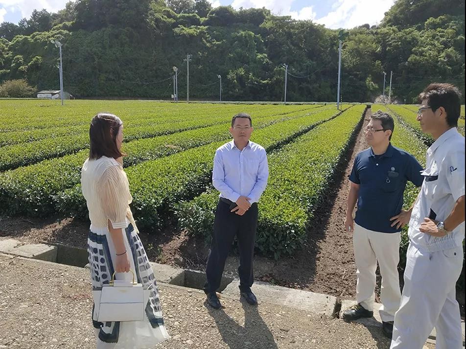 了解學習風力除霜技術(shù)